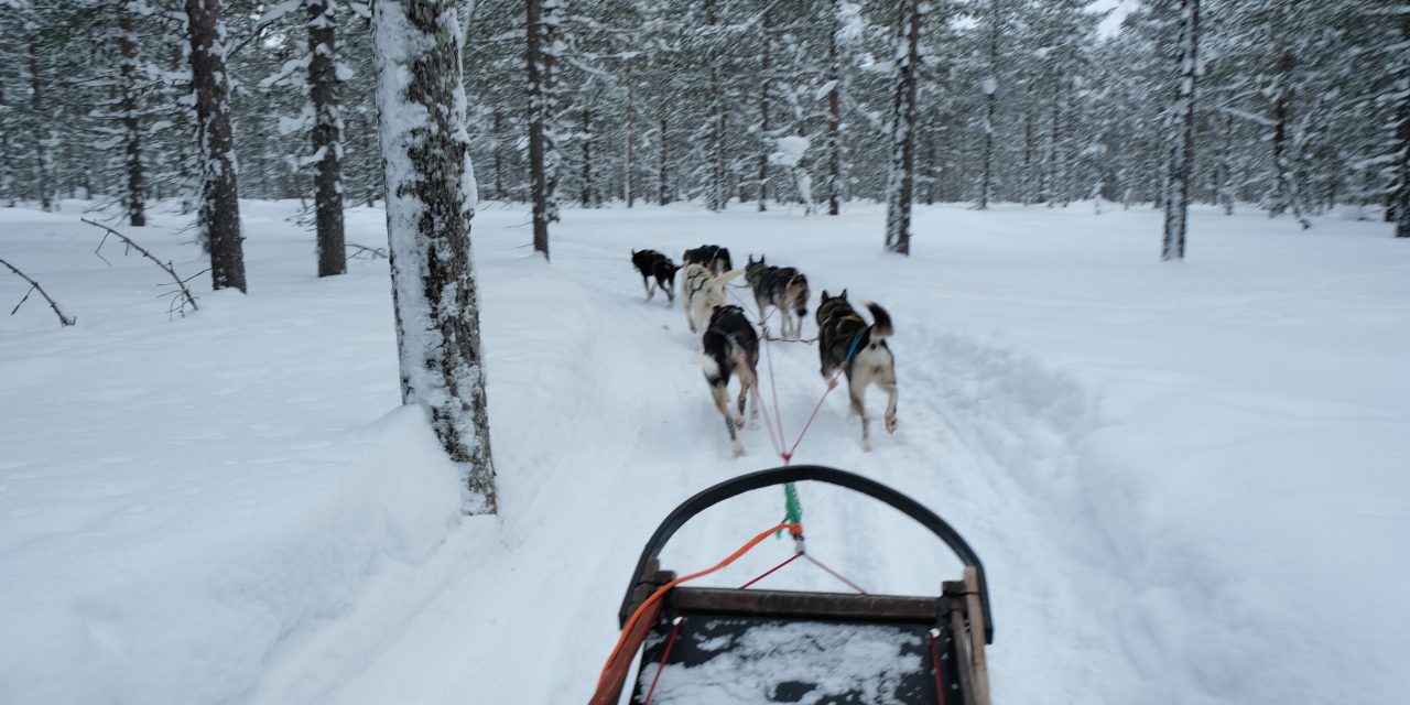 Nordic winter: een reis naar Lapland