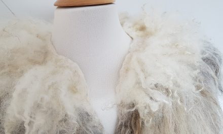 Inspiratie: Mooie en duurzame wol uit Nederland